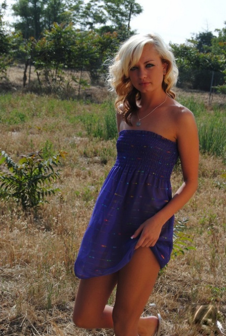 Codie Sweets sex pornstar image