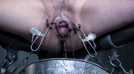 asian bondage free xxx picture