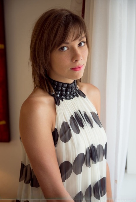 Stephania Eddison free star galleries