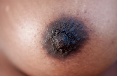ebony nipples erotic archive