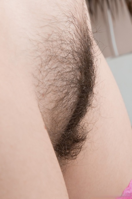 hairy close up perfect photo