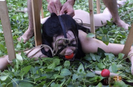 outdoor bdsm art porn pictures