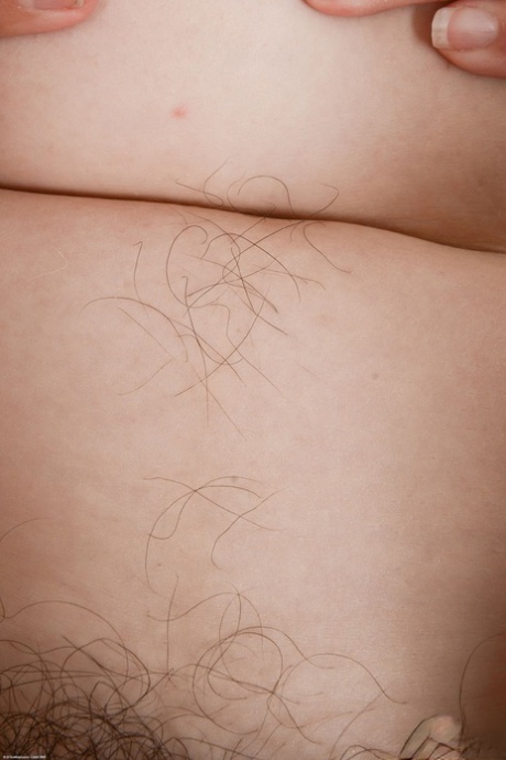hairy bush pornos photos