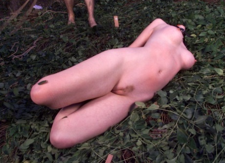 busty bdsm free galleries