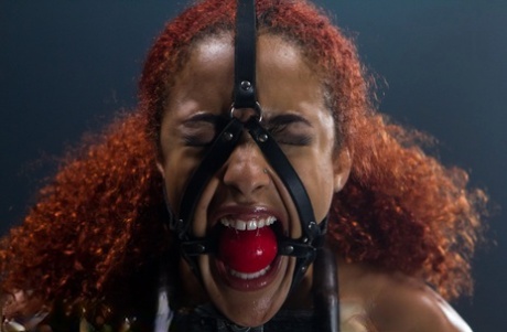 ebony face free sexy galleries
