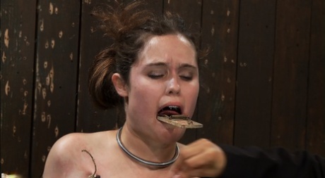Maggie Mayhem model porn picture