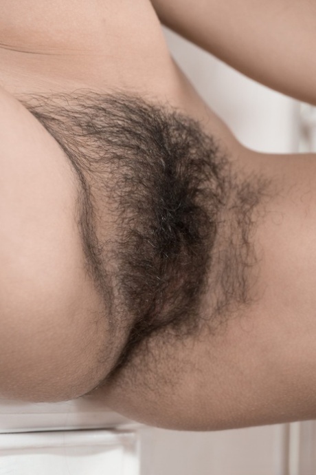 hairy bush sex img