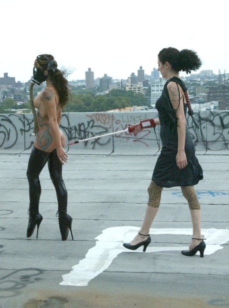 public bdsm hot porn archive