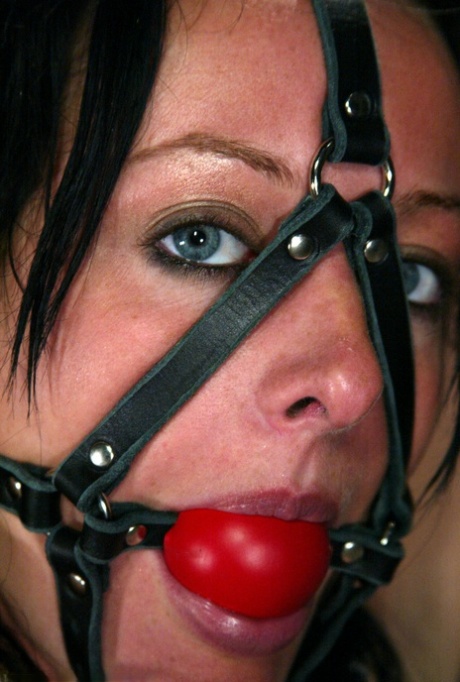 Melissa Lauren top star pic