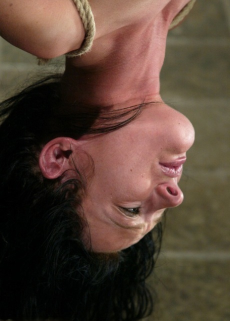 french amateur art nude galleries