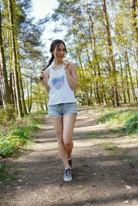 forest beautiful photos