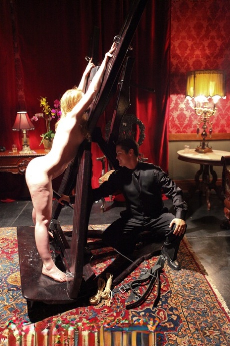 public bdsm naked galleries