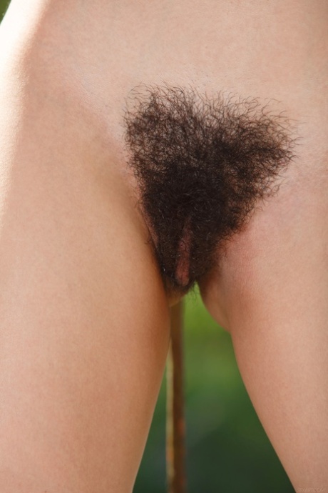 cute hairy beautiful photo