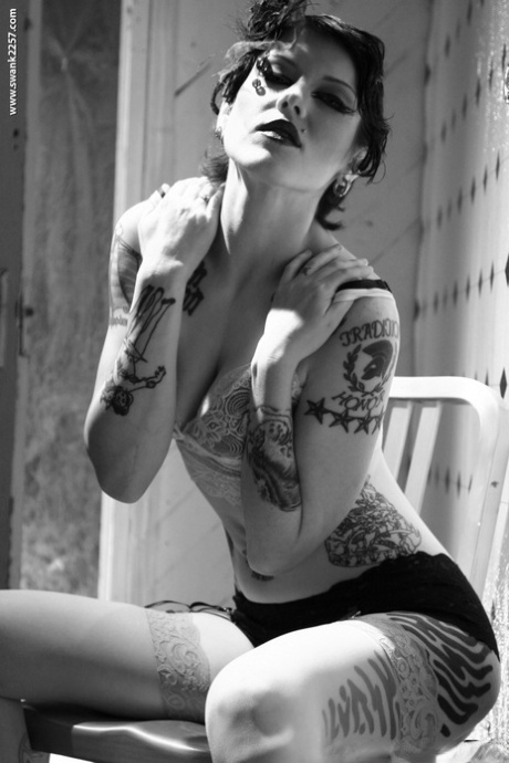 Cadence St John xxx star images