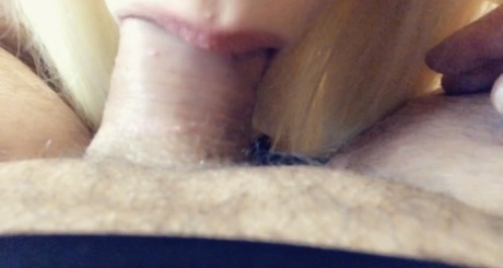 close up blowjob adult photo
