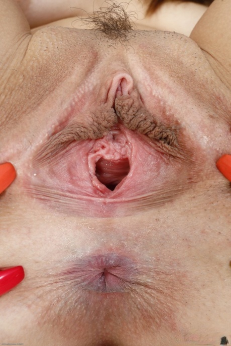 big pussy lips art xxx photos