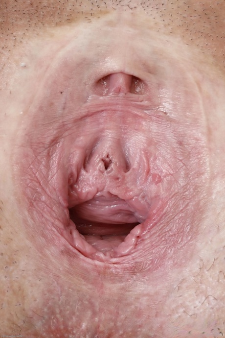 gaping pussy beautiful xxx image