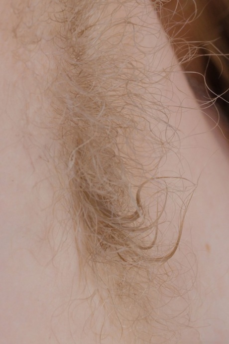 hairy armpits free nude pictures
