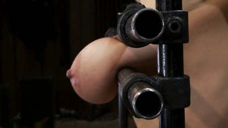 bdsm tits art porn galleries