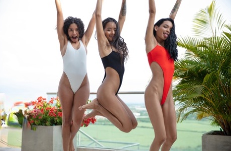 swimsuit free sex pictures