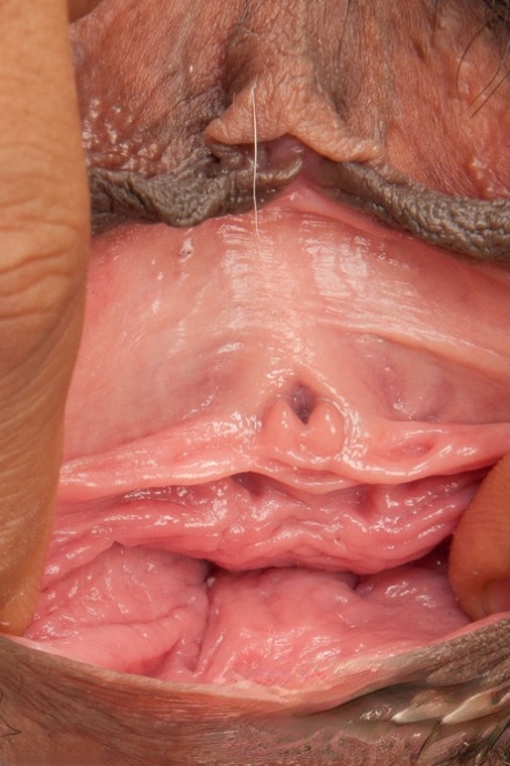 chubby ebony pornographic pics