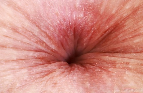 anus porn photo