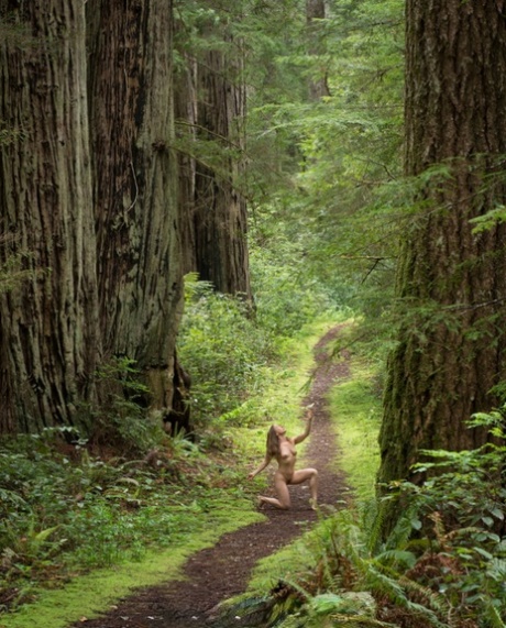 forest sexy nude photos