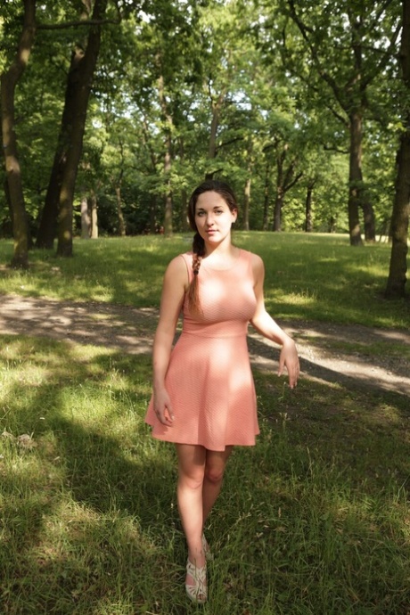 forest exclusive img