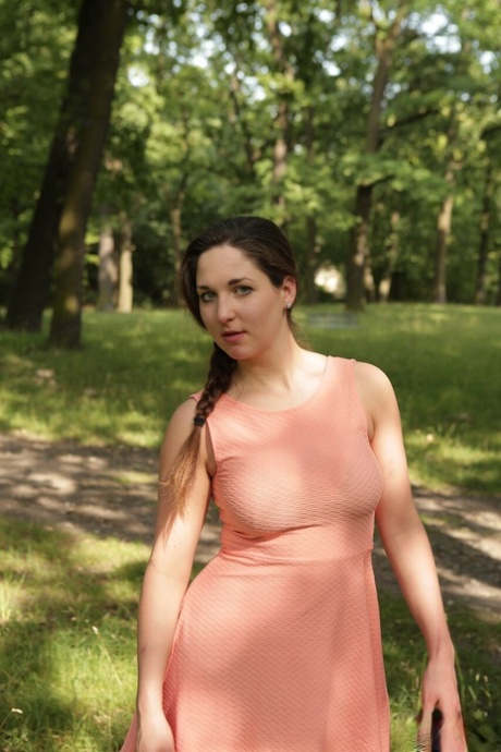 forest hd photo