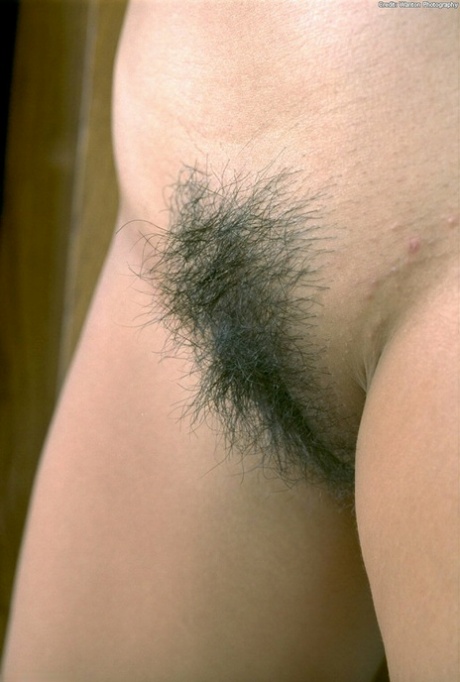 hairy asian pussy porn img