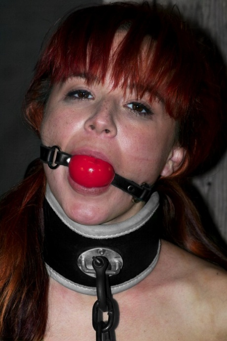 Andy San Dimas hot actress img