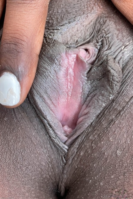 chubby indian free sex picture
