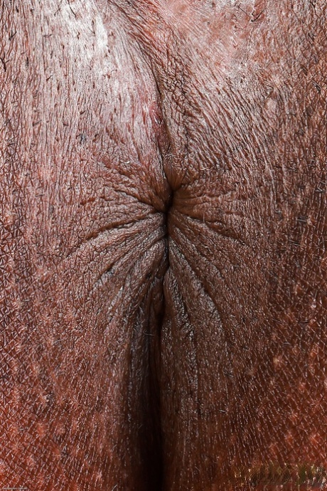 black amateur free porn picture