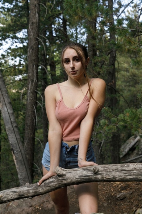 forest free photo