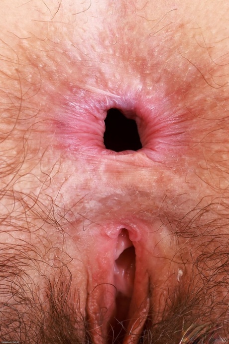 sexy asshole sexy nude img