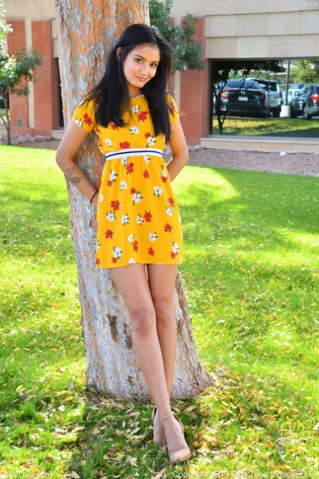 desi free sex gallery